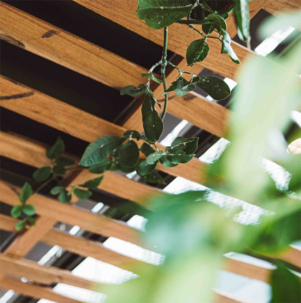 Image gallery marquee